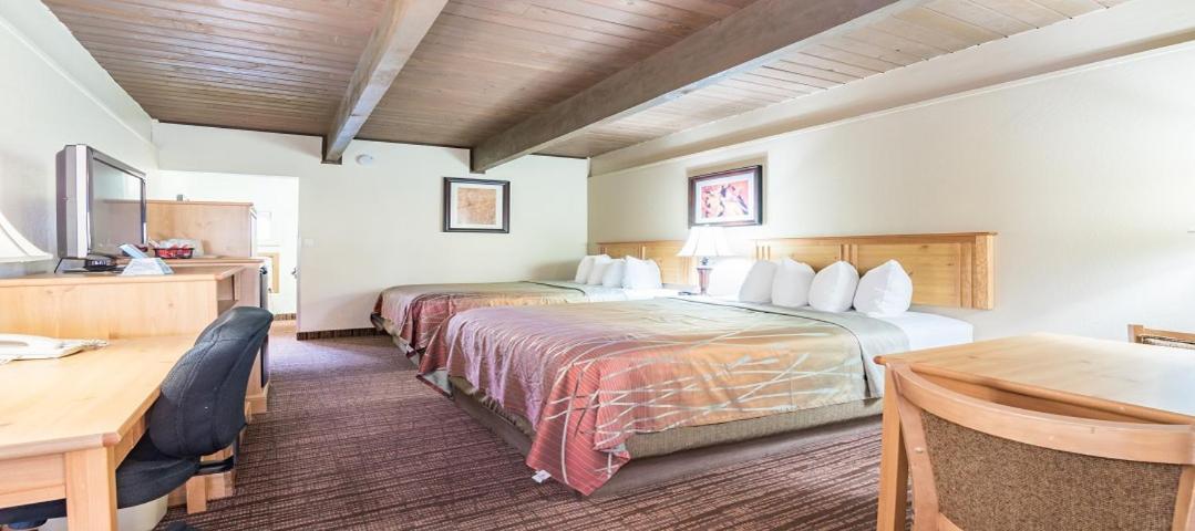 Teton West Motel دريغس المظهر الخارجي الصورة